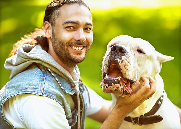 Man and Dogo Argentino walk in the park. Man and Dogo Argentino walk in the park. dogo argentino stock pictures, royalty-free photos & images