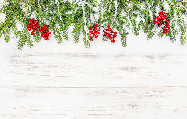 istock Christmas decoration. Coniferous tree branches red berries 503834970