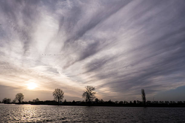 Winter sun over the river Maas stock photo