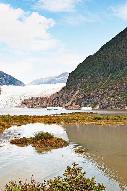 istock Mendenhall Glacier with reflections in Juneau Alaska 503835298