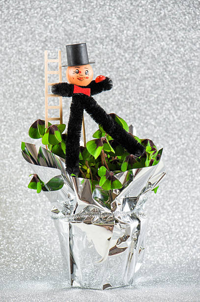 istock Lucky charm chimney sweep with shamrock. New Year 503835958