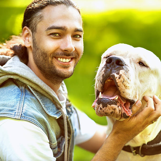 istock Man and Dogo Argentino walk in the park. 503836643