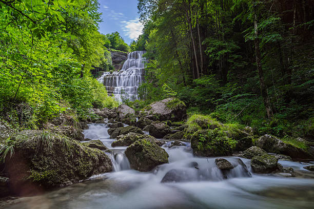 igel-wasserfall - waterfall rapid landscape woods stock-fotos und bilder