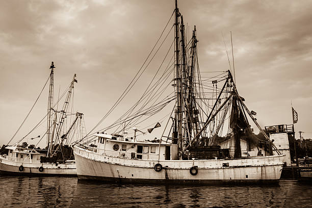 istock Carolina Shrimp Boats 503836940