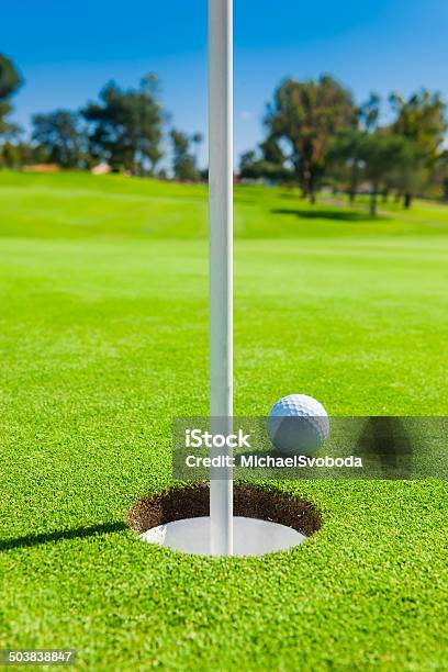 Golf Ball On The Greens Stock Photo - Download Image Now - Day, Diminishing Perspective, Focus On Foreground