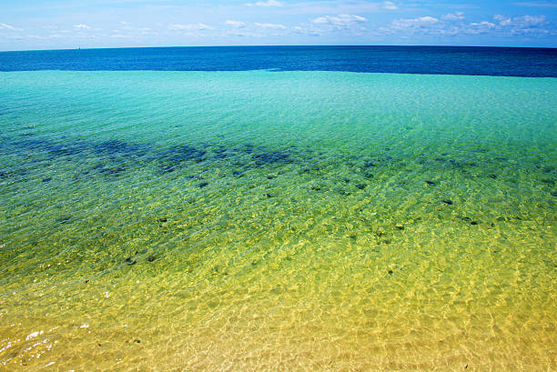 istock Florida Beach Clear Water 503839173
