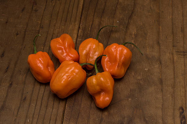 istock Orange Habanero Peppers 503839648
