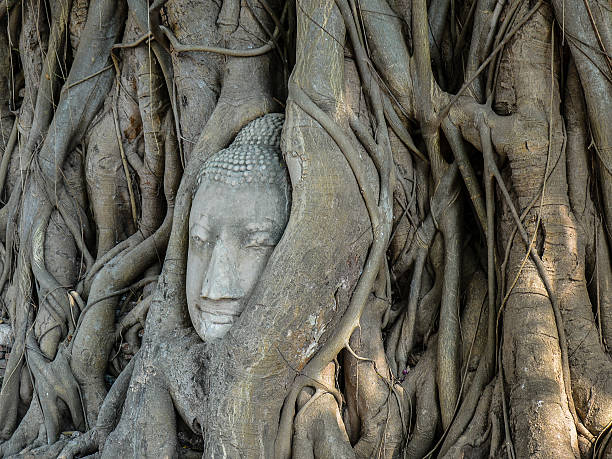 istock Sandstone Buddha Head, Ayutthaya, Thailand 503841622