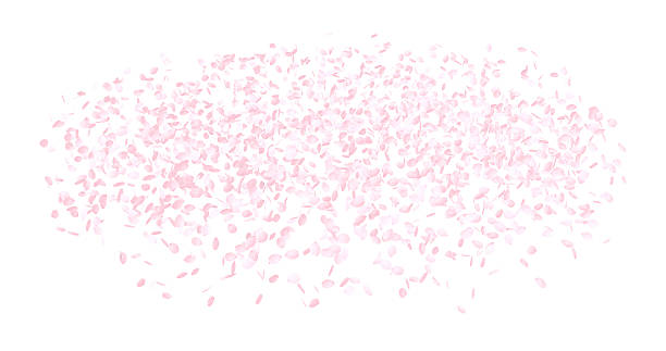 istock Pink Flower Petals Background 503844338