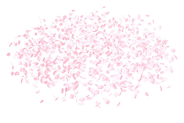 istock Pink Flower Petals Background 503844352