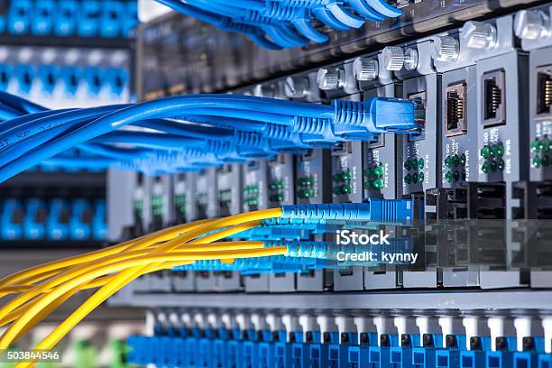 Fiber Optic Cables And Utp Network Cables Stock Photo - Download Image Now - Fiber Optic, Computer Network, Network Connection Plug