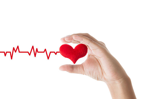 istock hands holding red heart with ecg line on white background, 503845488