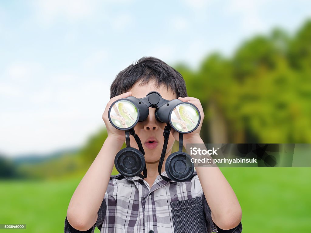 boy looking birds by binoculars Young Asian boy looking birds by binoculars in forest Binoculars Stock Photo