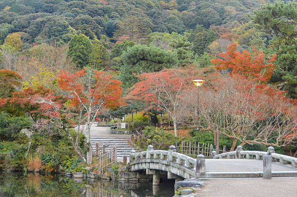 istock Autumn colors at Maruyama Park 503846498