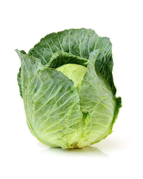 chou vert - green cabbage photos et images de collection