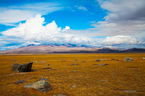 istock Multicolored steppe landscape with large stones 503862922