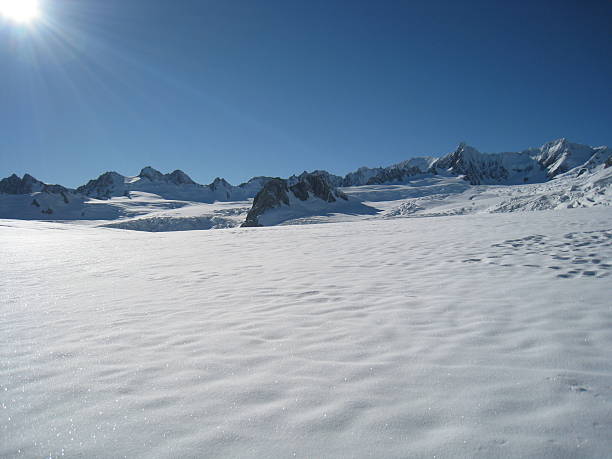 istock Fox Glacier, New Zealand 503863048