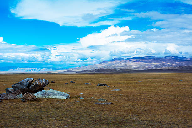 istock Steppe landscape with a piece of rock 503863354