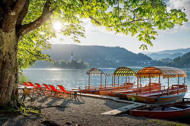 istock Bled lake in Slovenia 503863944