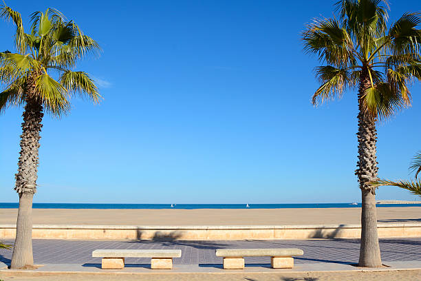 istock Beach and seafront at Valencia, Spain 503884814