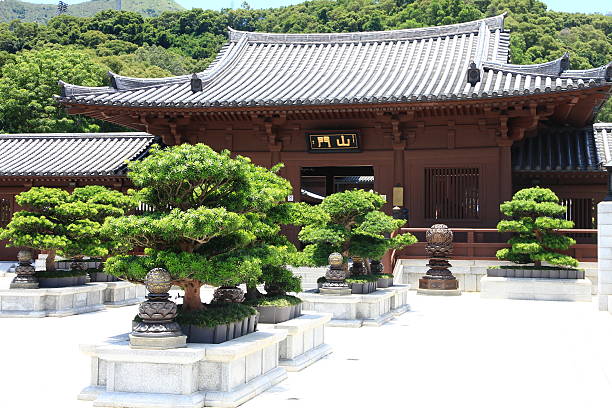 istock Chi Lin Nunnery in Hong Kong 503886594