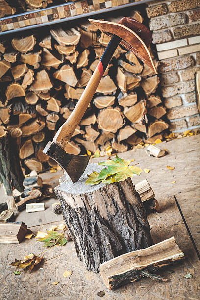 istock Hatchet sticking on stump in janitor hat hanging on handle 503886604
