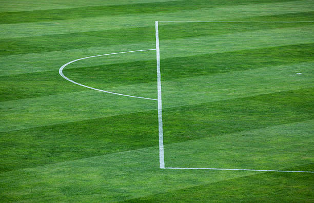 istock Close-up of striped pattern on grassy soccer field 503887738
