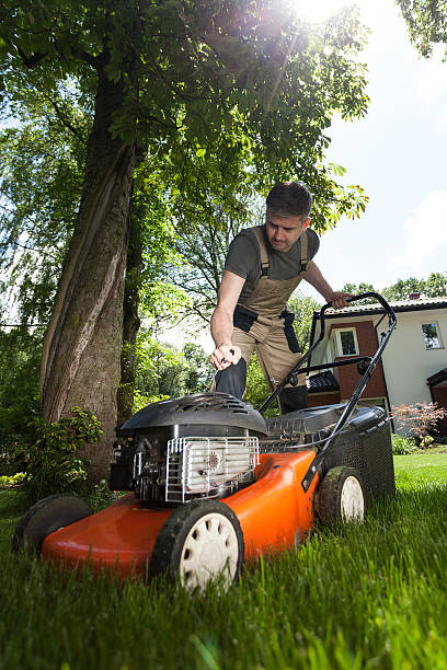 istock Man cutting grass in his yard 503888045