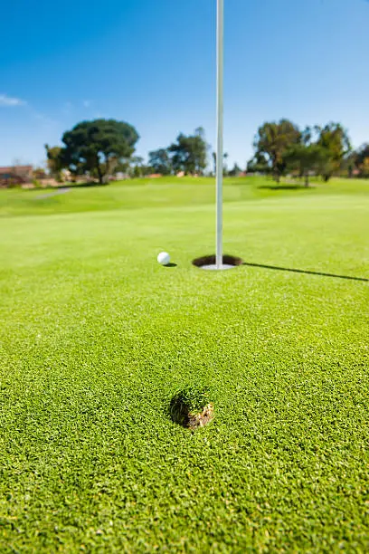 Photo of Divot And Golf Ball On The Greens