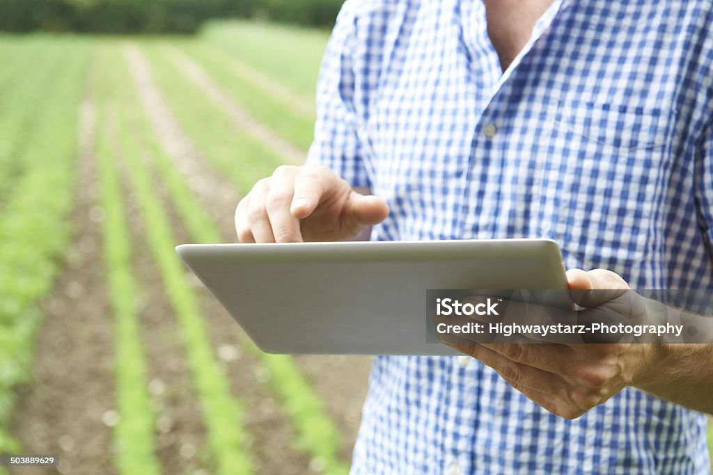 Close Up Of Farmer Using Digital Tablet On Organic Farm Digital Tablet Stock Photo