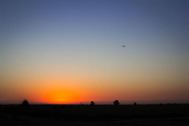 istock The motorized hang glider in the sky 503889736