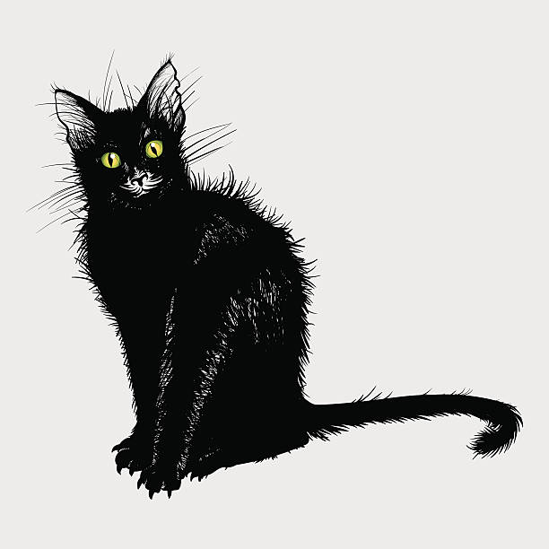 Black Cat Icon Stock Illustration - Download Image Now - Domestic Cat,  Spooky, Horror - iStock