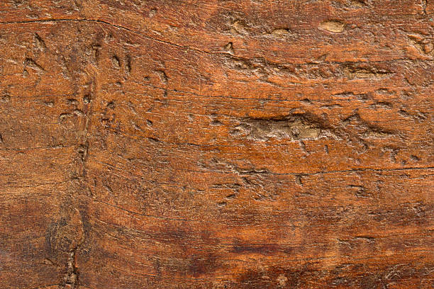 istock antique wooden board 503890237