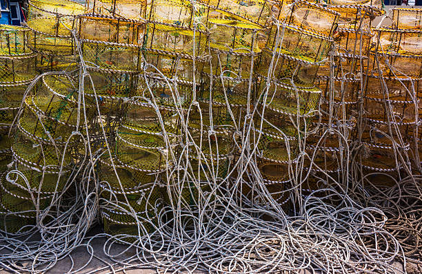 istock fishing nets on bank 503890684