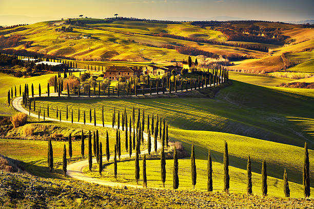 トスカーナ地方の夕日の風景 田園地帯農業、ホワイト road に入り、 - siena province tuscany italy fog ストックフォトと画像