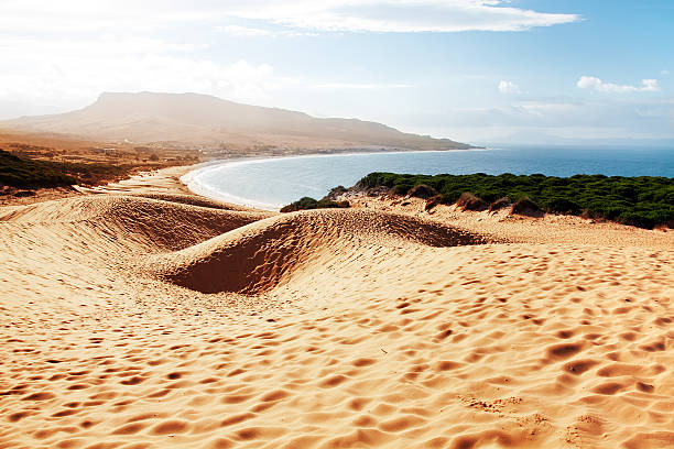 sand dune of bolonia beach, provinz cádiz, andalusiens, der wirbelsäule - sand river stock-fotos und bilder