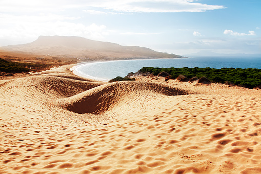 Duna de arena de playa de Bolonia, provincia de cádiz, Andalucía, la columna photo