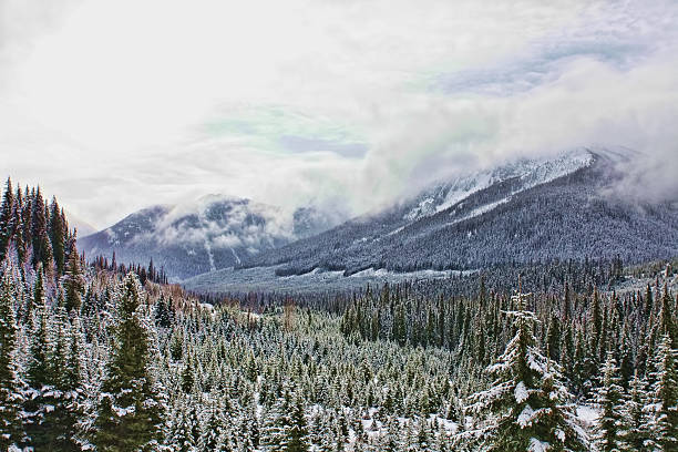 istock Banff Area, British Columbia, Canada 503894958