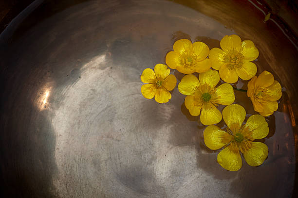 Creeping buttercup yellow flowers floating in a tibetan bowl