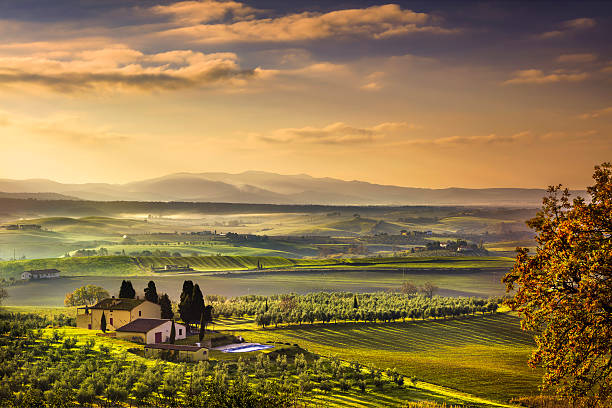 tuscany maremma brumeux matin, farmland et les champs de verdure. l'italie. - rolling landscape photos et images de collection