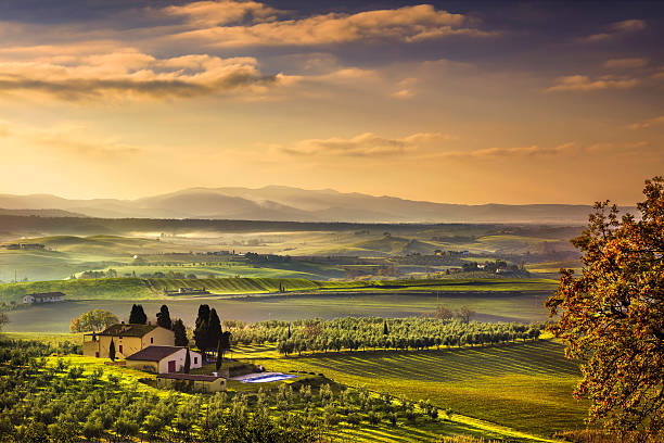 toscana maremmano nebbia mattina, terreni agricoli e verdi campi. italia. - toscana foto e immagini stock