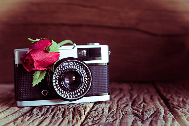 istock Vintage camera with roses on old wood background. 503897924