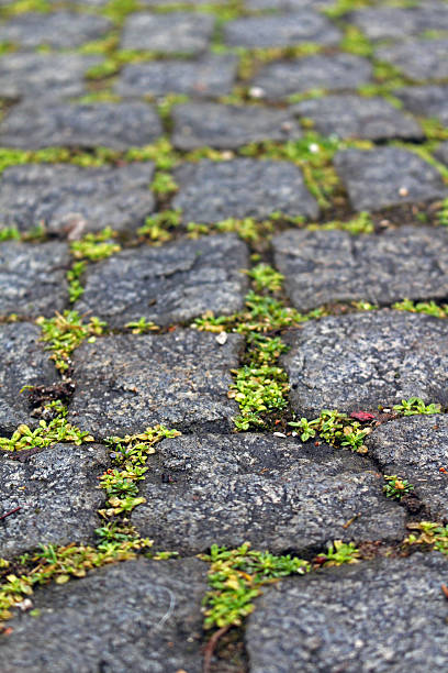 istock Street with flagging and green moss, Munich, Germany, 2015 503898790