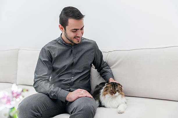 istock Smiling man sits on white sofa stroking a cat 503898932