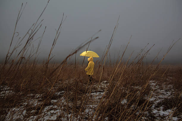 menina de atravessar o campo com névoa - spooky horror nostalgia autumn - fotografias e filmes do acervo