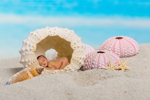 Newborn baby sleeping inside a seashell on a beach