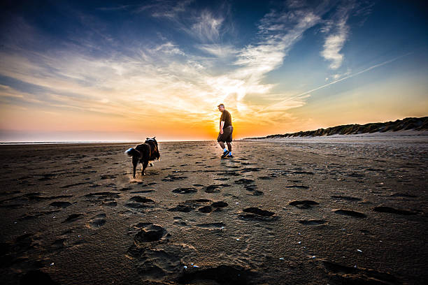 istock Senior man with dog on beach at sunset 503914333