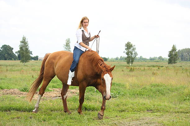 beautiful blonde woman riding horse bareback - bareback стоковые фото и изображения