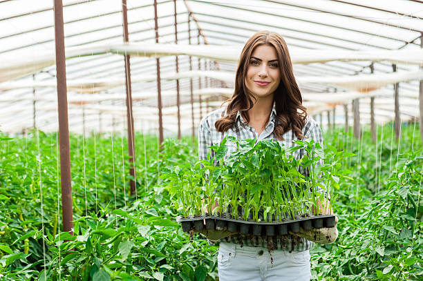 Young woman working in a greenhouse holding a crate with seedlings in a greenhouse
