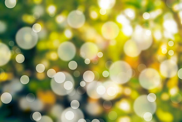 Fresh green nature background with abstract blurred foliage and